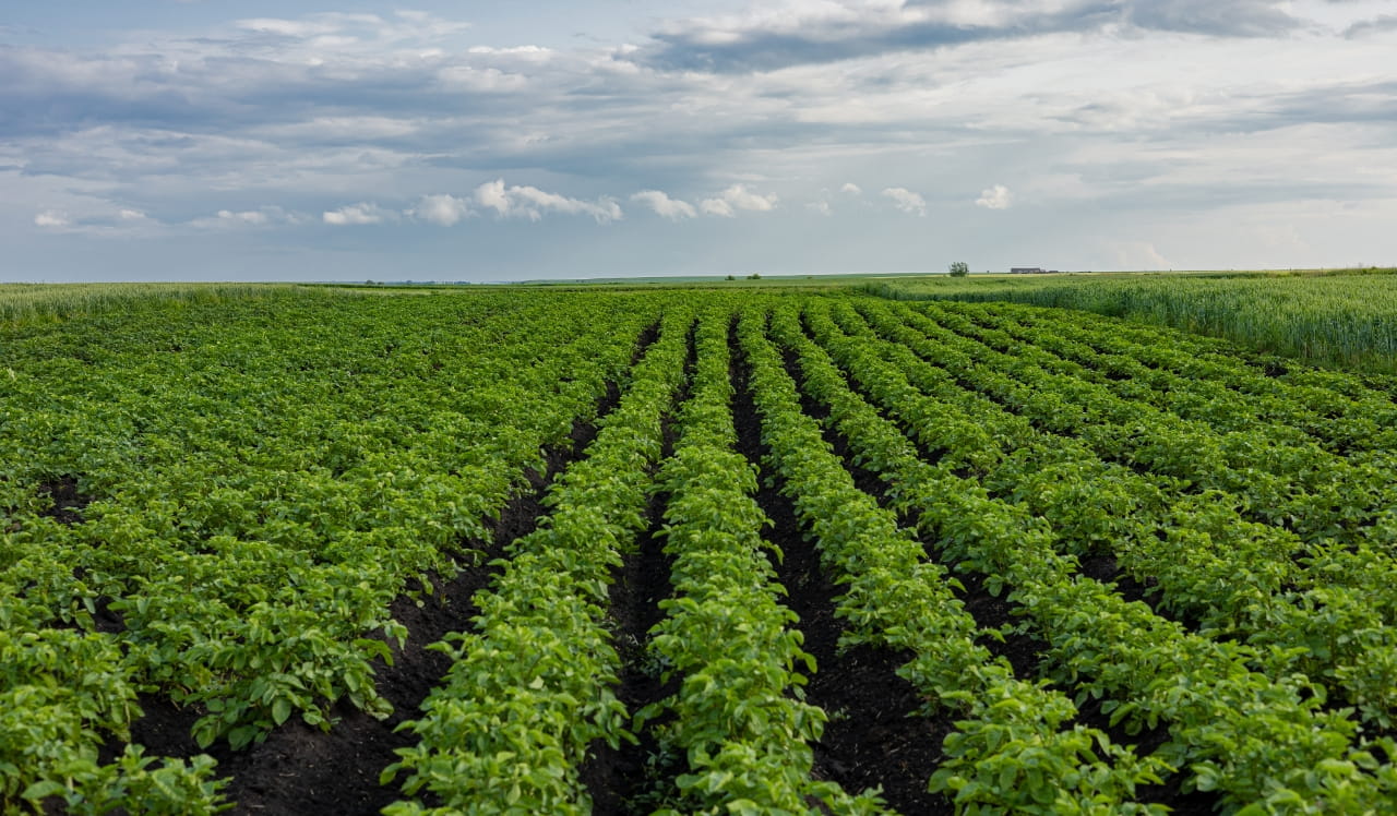 有機JAS資材評価協議会